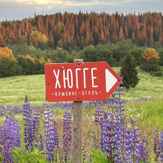 Хюгге Кэмп. За кадром 🌲