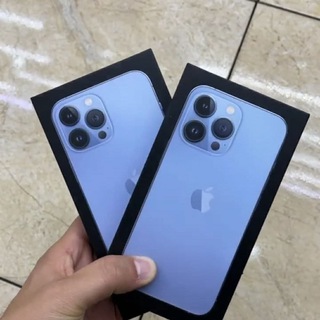 iPhone 13
