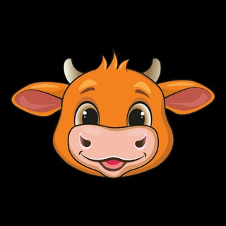 ibull chat