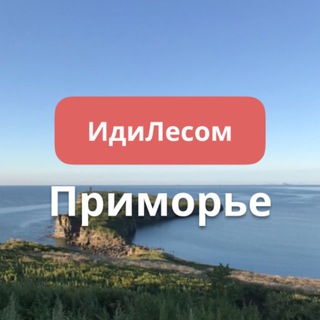 ИдиЛесом Приморье путешествия