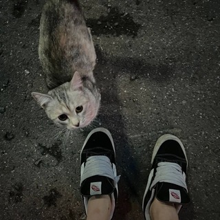 (>-