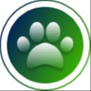 Всё про игры с собакой 🥎🐕