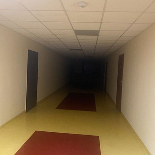 BACKROOMS