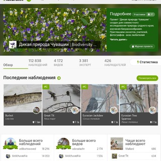 iNaturalist Чувашии