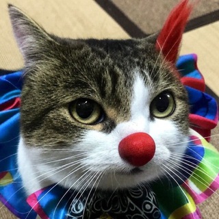 clown.me