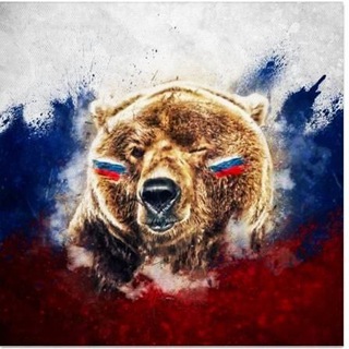 *Z*《ИНФАСС》*Z*
