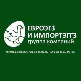 Импортэггз Групп - Инкубационное яйцо