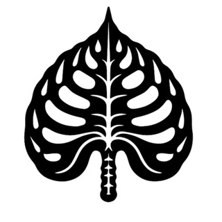 InnocentPlants