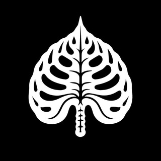 InnocentPlantsShop