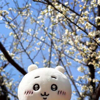 ִ ㅤׄ ioco : Ψ.