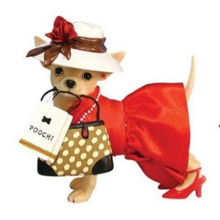 IRINA FASHION DOG