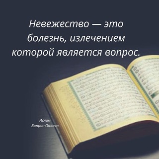СЕСТРЫ ВОПРОС-ОТВЕТ