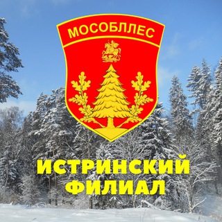 Истринское лесничество