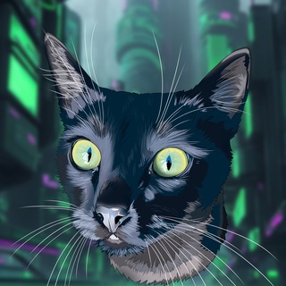 IT и коты
