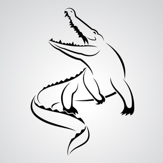 White Croc 🐊 IT Chat