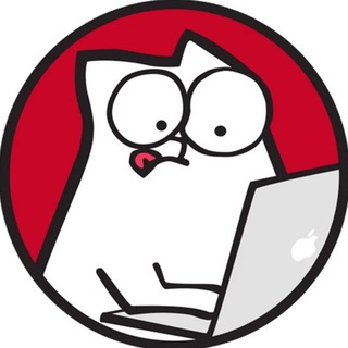 IT AI MEDIA | РАБОТА, СТАЖИРОВКИ, ВАКАНСИИ, УДАЛЕНКА, JOB
