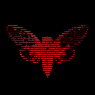 cicada.t/u