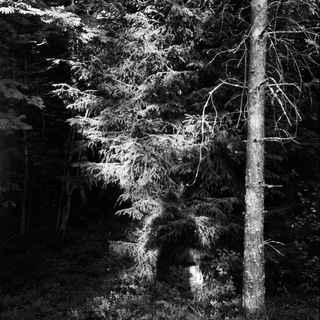 IvanBelsky_filmphoto