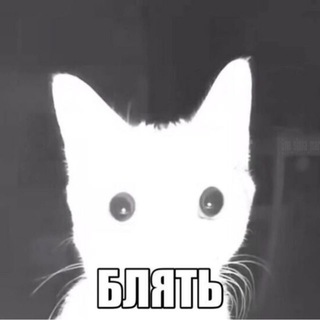 whoisirina
