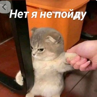 Подвал с чаем РЕСТ!