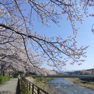 Japan🇯🇵