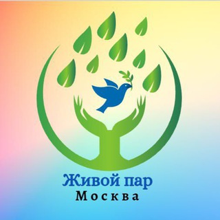 Живой пар Москва Official