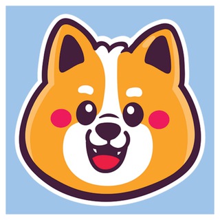 Junior Shiba || JRSHIB