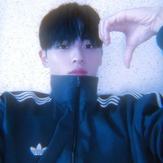 ahn junwon ' s zone