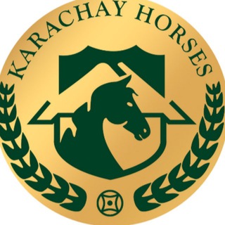 09_karachai_horses