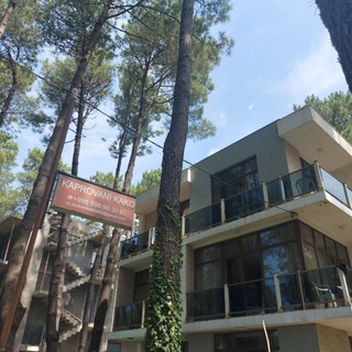 KAPROVANI KAKO