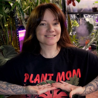 🌿 Kati_plants комнатные растения СПб