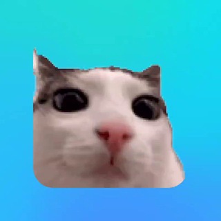 𝙆𝙀𝙉𝙎𝘼𝙔 𝘾𝙁𝙂 𓆩♡𓆪