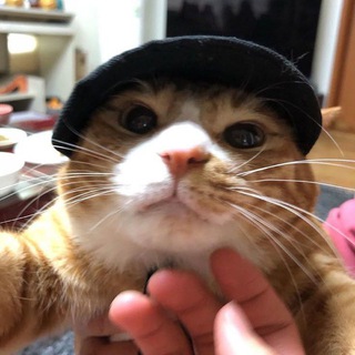 ♪ kerrolil ♪