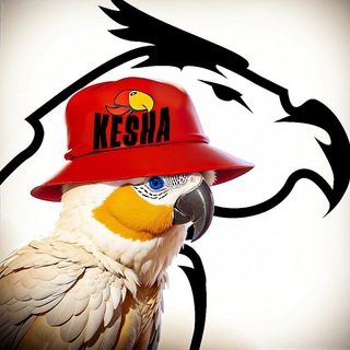 KESHA DESIGN🦜