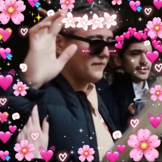 котята💗