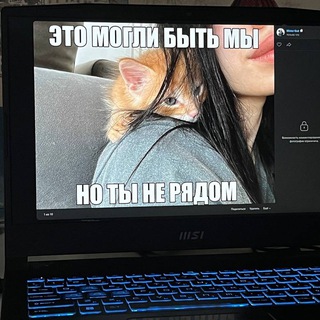 Китьки 🐾