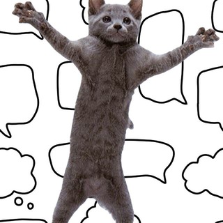 Котики и корона на голове Беллы Рапопорт: обсуждаем