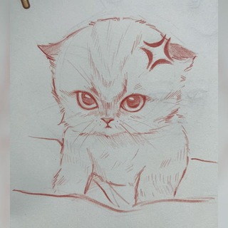 Котята и рисование