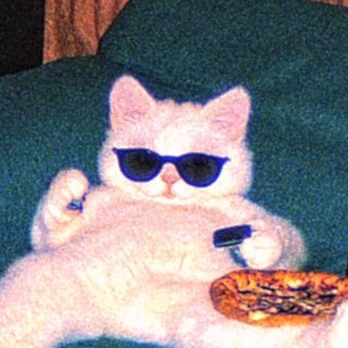 KITECAT🪐✨