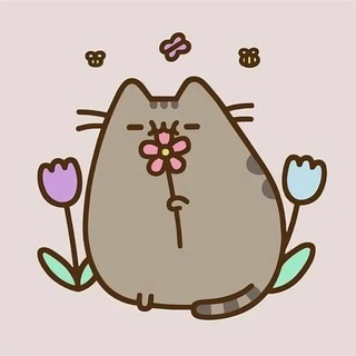 Kitty Kingdom