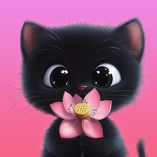 Kitty Kotty