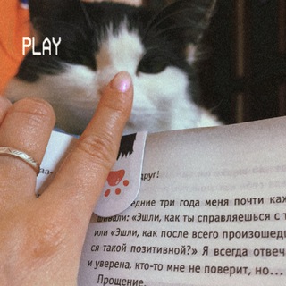 Котенок печатает…
