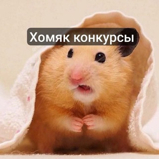 Хомяк | бот бандит