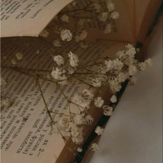 📖Книжный уют🔮