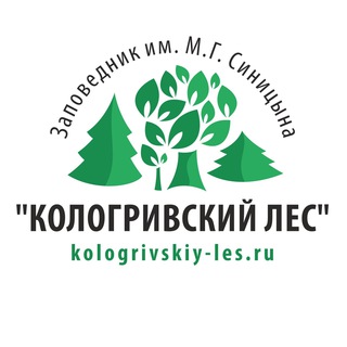 Заповедник Кологривский Лес