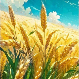 Колосок