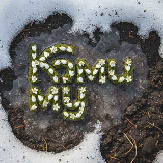 Коми му