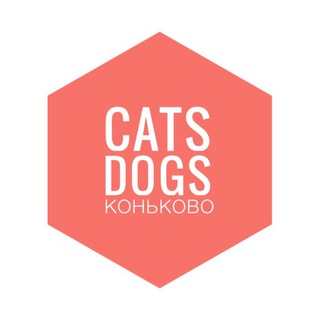 КОНЬКОВО: cats, dogs (чат) ЮЗАО