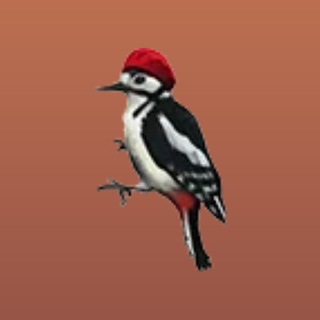 Kontur.Birds