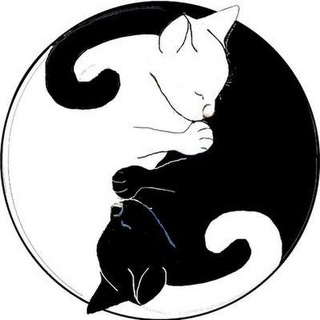 Котолайк